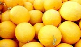 黄河蜜瓜咋吃,美味多汁，尽享夏日清凉