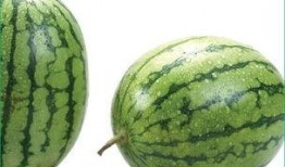 吃瓜过敏皮疹,揭秘过敏源与应对策略