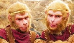 六耳猕猴在下吃瓜,揭秘神秘瓜田的奇幻之旅