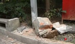 布车吃瓜,揭秘网络热词背后的文化现象