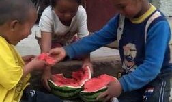 兄妹吃瓜的动作,共享夏日清凉时光