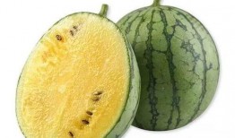 茶水备好了吃瓜,悠闲时光