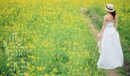 且听风吟吃瓜,笑谈瓜界风云