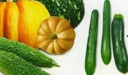 牛顿吃瓜,科学巨匠的趣味日常