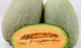 吃完虾子吃哈密瓜,探寻美食搭配的奇妙之旅