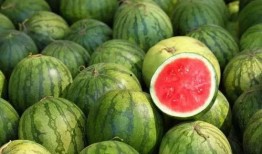 能挖着吃的瓜叫什么瓜,探寻能挖着吃的神奇瓜类