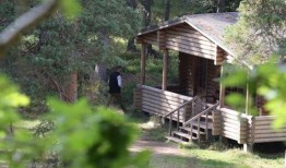 吃瓜木屋的教学,揭秘教学生涯中的趣味与智慧