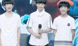 吃瓜直播间TFBOYS,揭秘偶像幕后趣事
