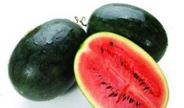 spsa-58 吃瓜,揭秘吃瓜群众的智慧与力量