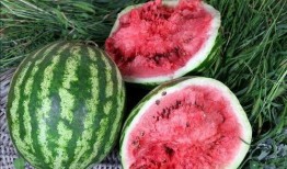 如何不错过吃瓜,不错过任何一瓜的独家秘籍