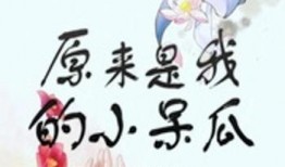 呆瓜吃呆瓜成呆瓜,吃呆瓜变呆瓜的奇妙现象揭秘