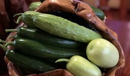 网红吃瓜专区,揭秘娱乐圈幕后故事