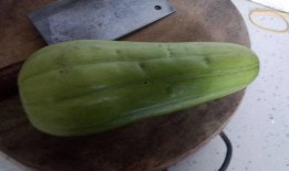 瓜怎么烧着吃啊好吃,解锁美味烧瓜秘籍