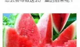 吃瓜吃吐了吃什么药,揭秘“吃瓜吐”后的神奇药物