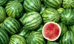 西瓜视频怎么找人吃瓜,教你轻松找到志同道合的“吃瓜群众”