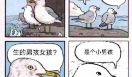 我是一只找不到瓜吃的猹,一只猹的奇幻冒险