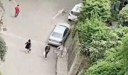 东营小区吃瓜事件,邻里纠纷引发社会关注