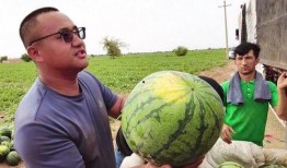 挖煤吃瓜,揭秘煤矿工人的日常生活与精神世界