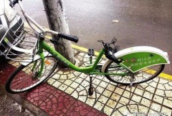 自行车吃瓜,自行车吃瓜，畅享夏日清凉