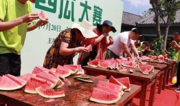 吃瓜奇妙小镇,一场味蕾与心灵的奇妙之旅